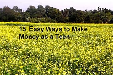 ways to make money as a teen